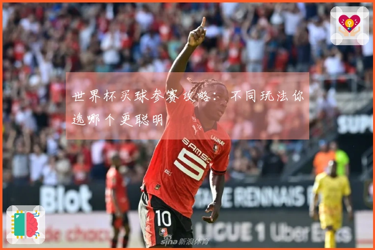世界杯买球参赛攻略：不同玩法你选哪个更聪明