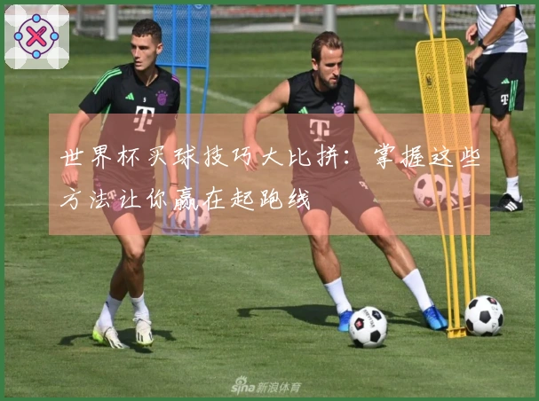 世界杯买球技巧大比拼：掌握这些方法让你赢在起跑线